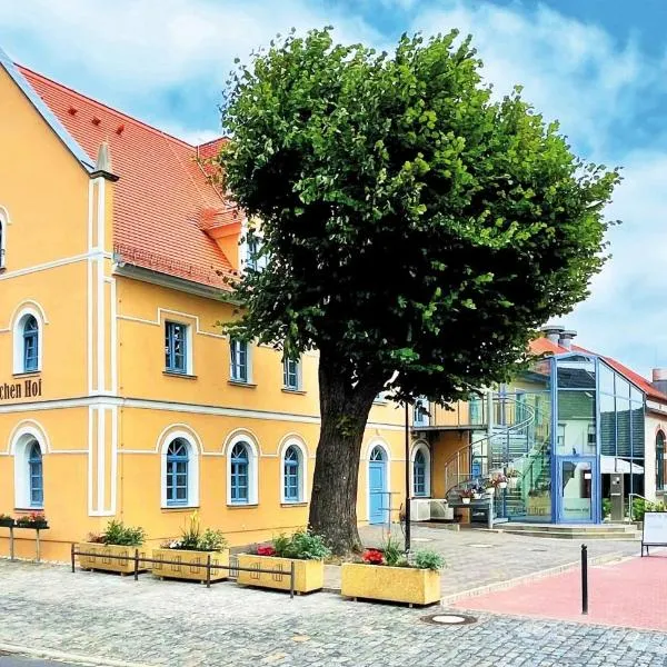 Pension "Zum Reußischen Hof"，位于Thallwitz的酒店