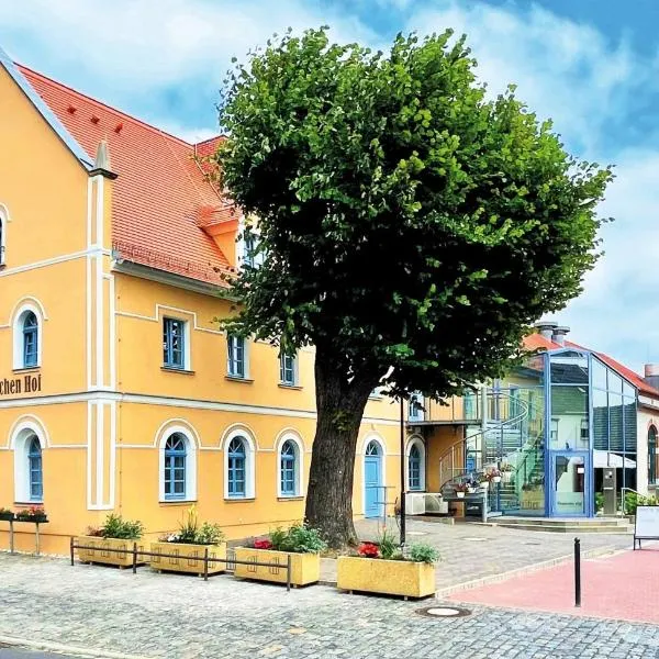 Pension "Zum Reußischen Hof"，位于Schildau的酒店