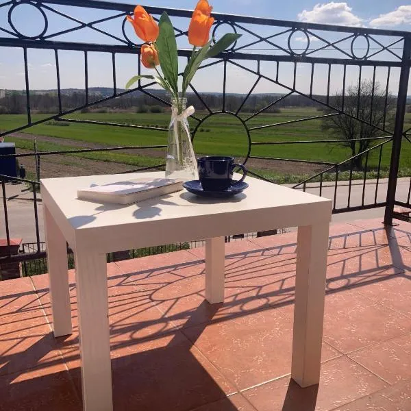 Apartament Villa Olivia，位于Szczebrzeszyn的酒店