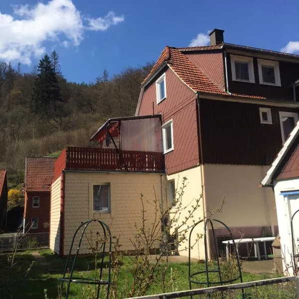 Haus am Fluss mit wunderschöner Dachterrasse mit Flussblick ,Garten und Grill，位于Zorge的酒店