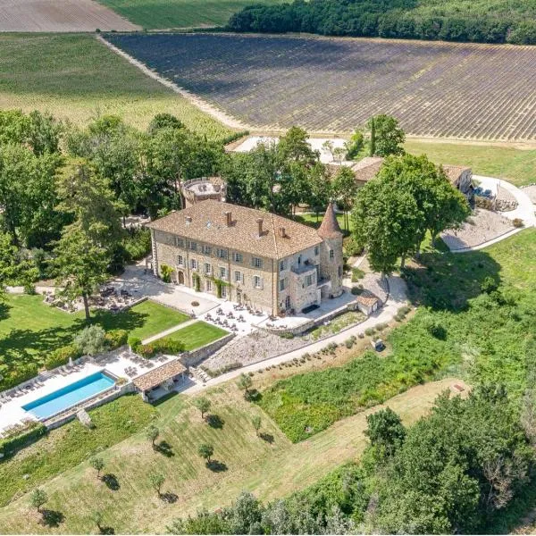 Château Les Oliviers de Salettes，位于Bonlieu-sur-Roubion的酒店