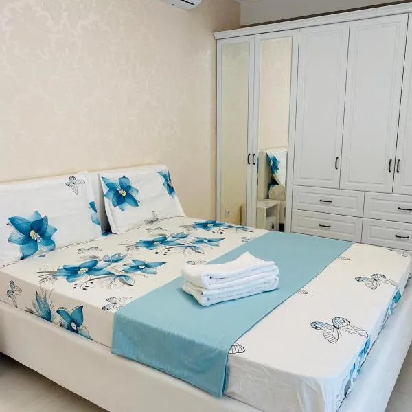 Apartament lux，位于基希讷乌的酒店