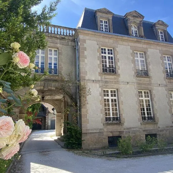 La Villa Beaupeyrat - Apparthôtels de charme dans bâtisse de caractère，位于里摩日的酒店