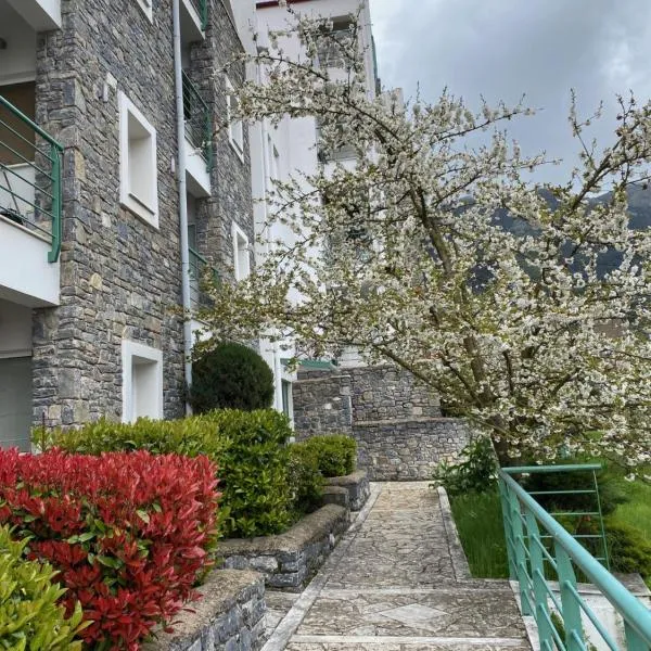 Kalavrita Luxurious Apartments，位于卡拉维塔的酒店