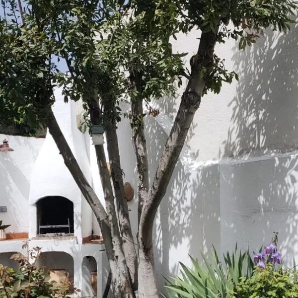 LOS SUEÑOS DE BUENDÍA，位于本迪亚的酒店