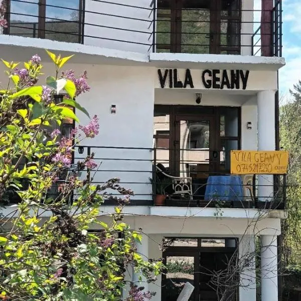 Pensiunea Vila Geany SRL，位于伯伊莱海尔库拉内的酒店