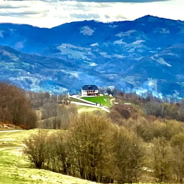 Maramures BELVEDERE，位于Valea Vişeului的酒店
