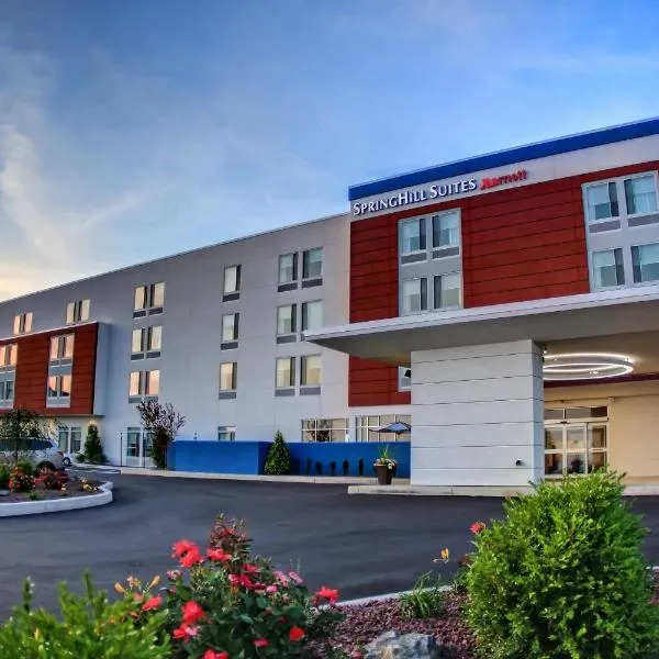 SpringHill Suites by Marriott Scranton Montage Mountain，位于Moscow的酒店