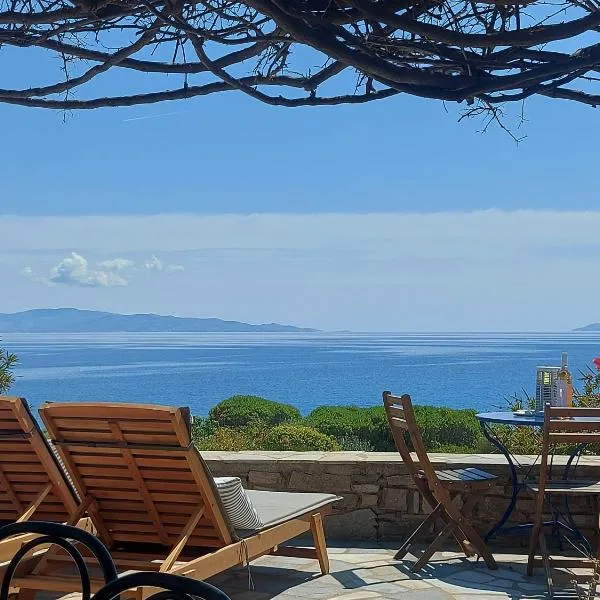 Sophia Villa Paros - Beachfront Villa at Lolantonis，位于德里奥斯的酒店