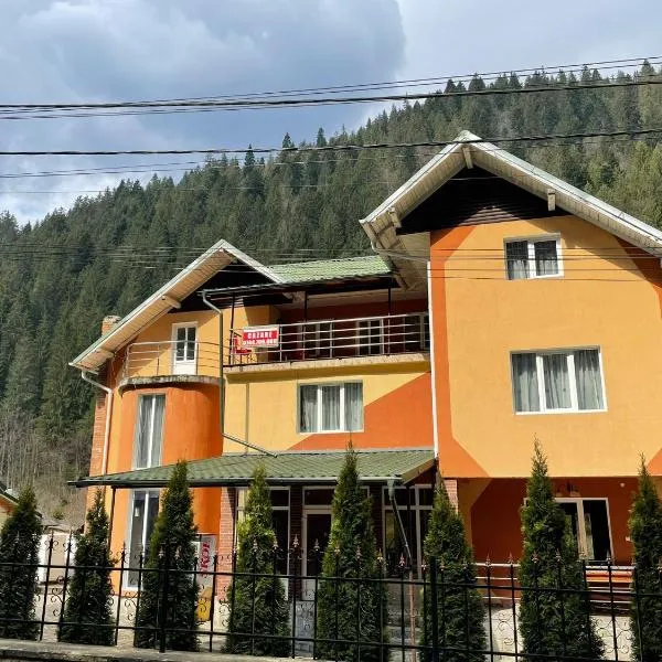 Pensiunea Pe drumuri de munte，位于Broşteni的酒店