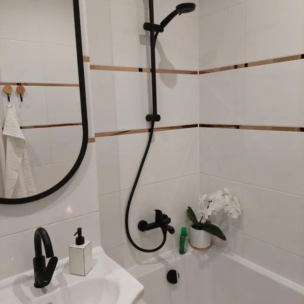 Apartament Finezja，位于桑多梅日的酒店