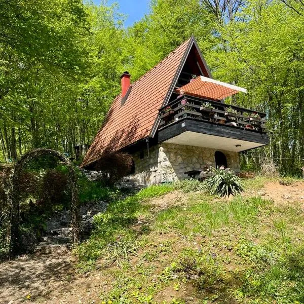 Mrežnički doživljaj，位于Gornji Zvečaj的酒店