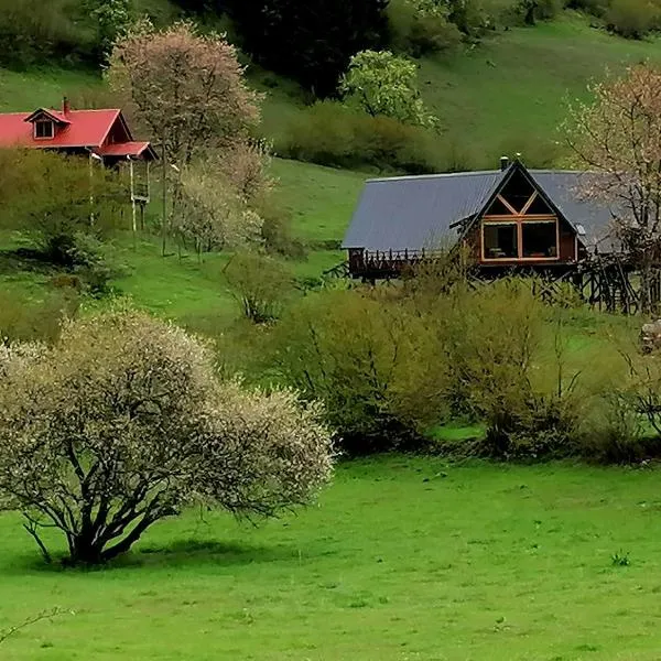 Süllü Dağ Evi，位于Yunuslu的酒店