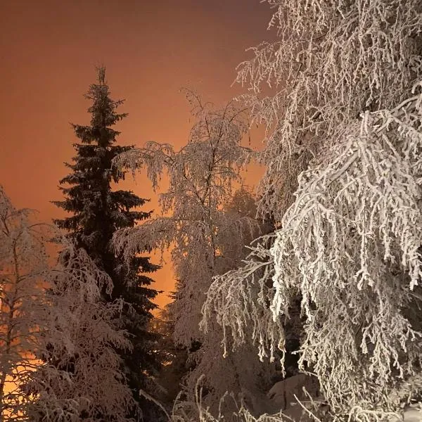 Ma tanière aux 7 Laux，位于Les Adrets的酒店