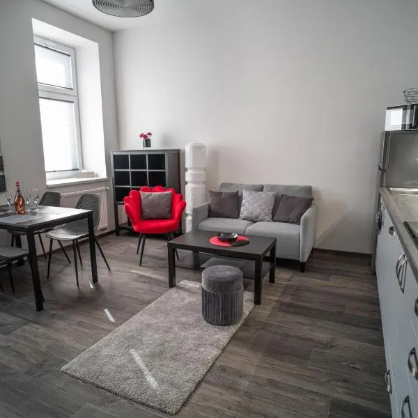 Apartmánový dům Sklípek，位于Úpice的酒店