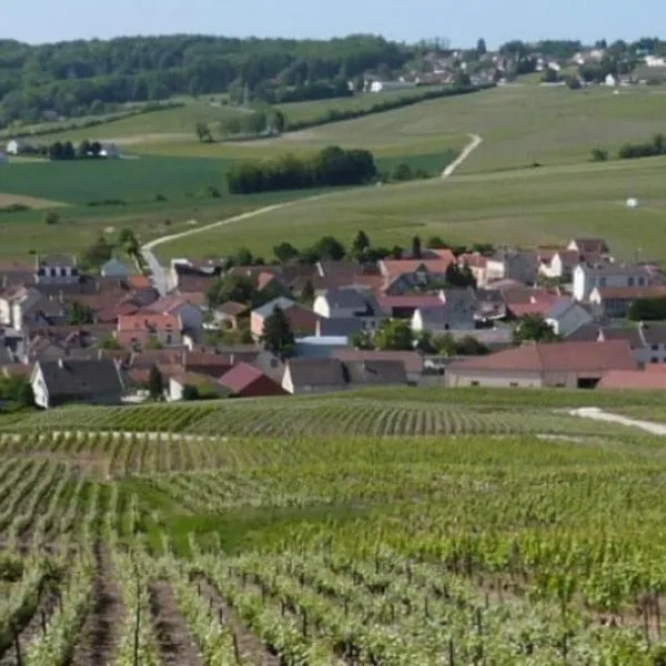 La Longère de Vin'Ay，位于维奈的酒店