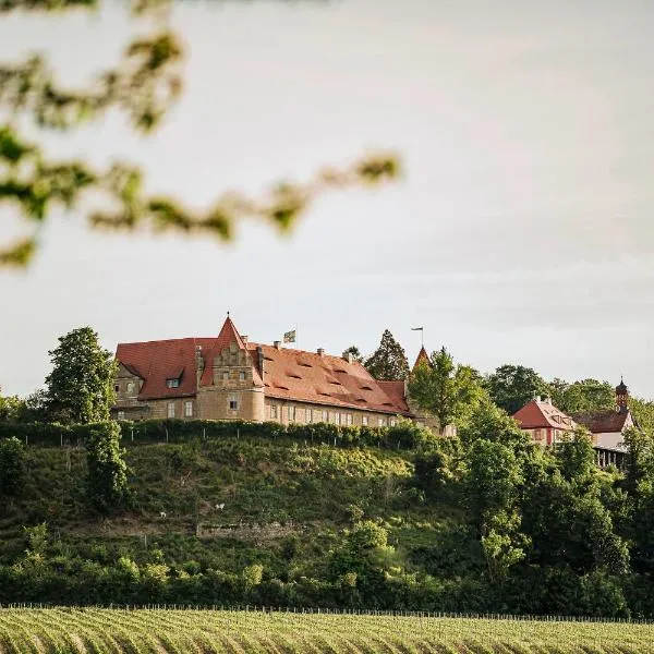 Schloss Frankenberg，位于Weigenheim的酒店