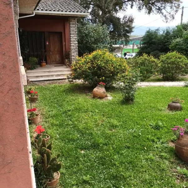vivenda do Sobreiro AL，位于Serpins的酒店