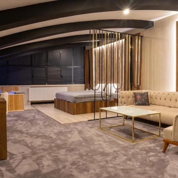 Anatolia Luxury Hotel，位于Bakanlıklar的酒店