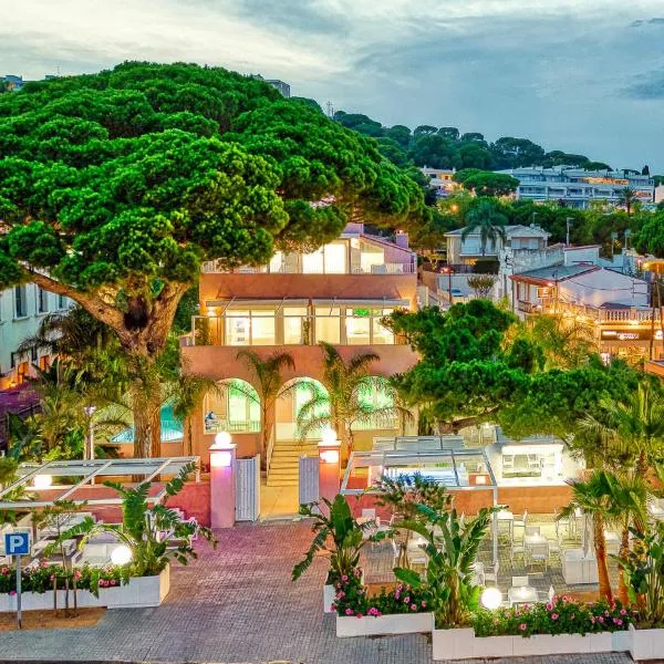 The Pink Elephant Hotel，位于萨卡罗的酒店