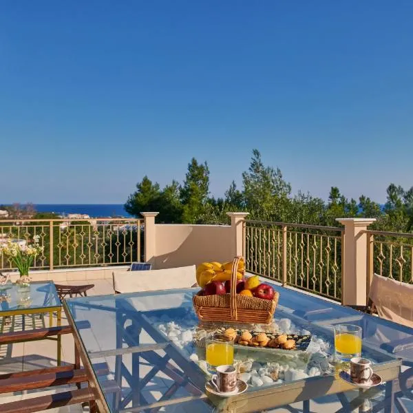 Villa Contessa Irini，位于普莱诺斯的酒店