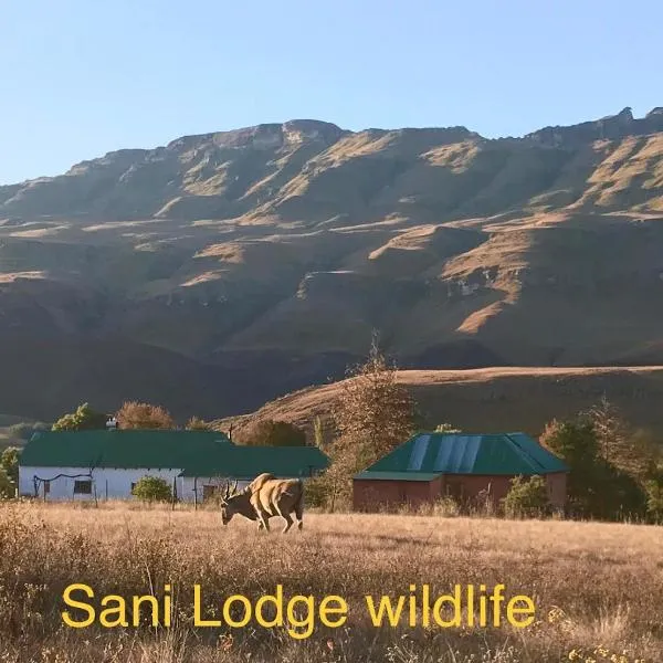 Sani Lodge Self-Catering Cottages Sani Pass South Africa，位于Mqatsheni的酒店