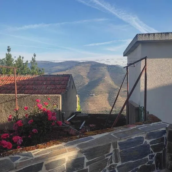 Petite Vista Douro，位于杜罗河畔瓦伦萨的酒店