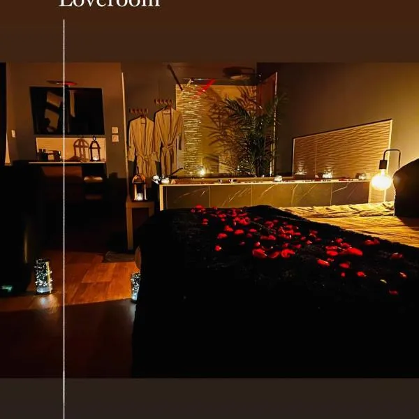 La Parenthèse, gîte de charme proche zoo de beauval et châteaux，位于Villefranche-Sur-Cher的酒店