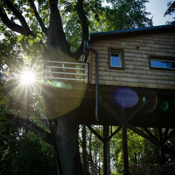 Strazdu Ligzda Off grid treehouse，位于Sausnēja的酒店