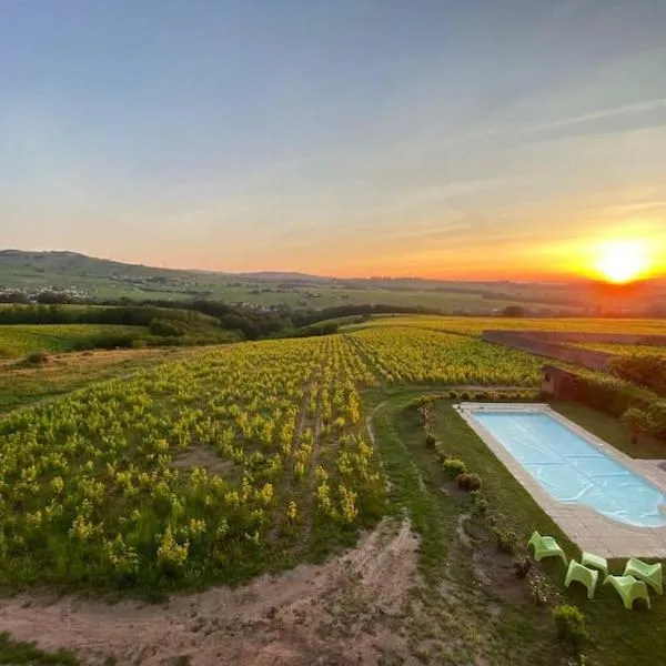 Au cœur des vignes Moulin à Vent，位于La Chapelle-de-Guinchay的酒店