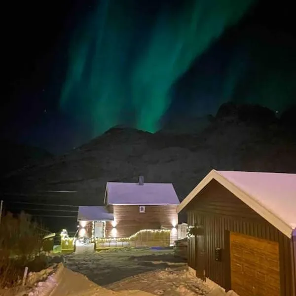 Fjordgård Mountain Aurora View，位于Botnhamn的酒店