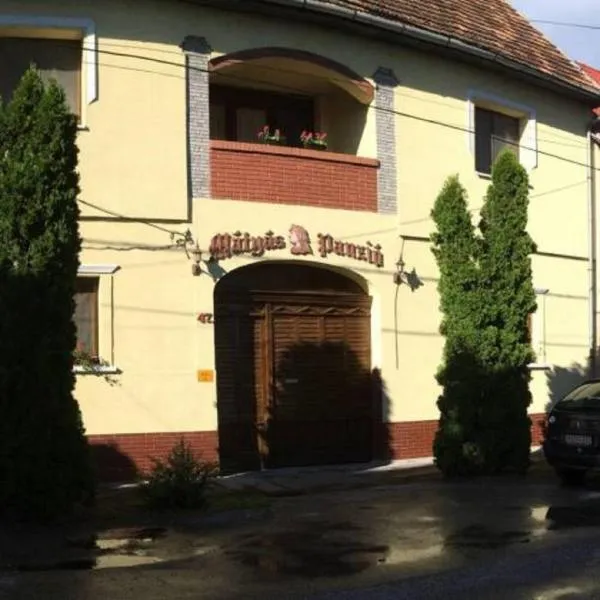 玛迪亚斯住宿加早餐旅馆，位于Röszke的酒店