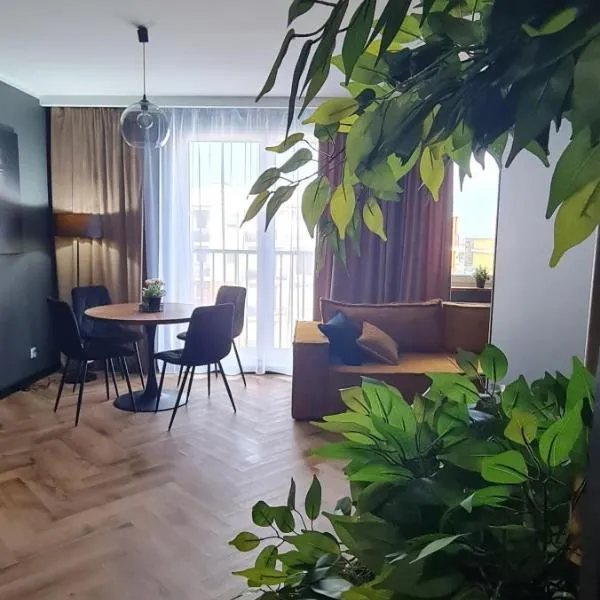 Mazovia Gold Apartament，位于普沃茨克的酒店