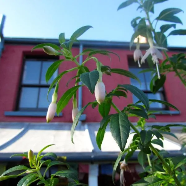 西洋楼住宿加早餐旅馆，位于Llanmadoc的酒店