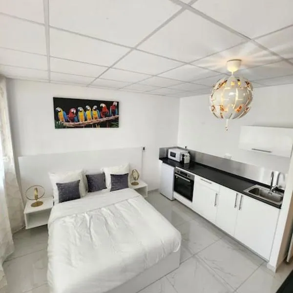 Hello-Guyane, Marina 3, Studio Prestige 5 étoiles，位于马罗尼河畔圣洛朗的酒店