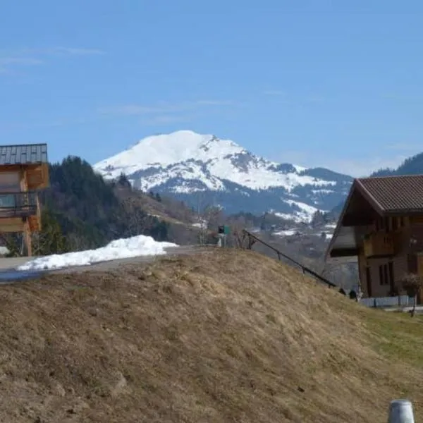 T1 Proche Grand Bornand Et Lac，位于Les Villards-sur-Thônes的酒店