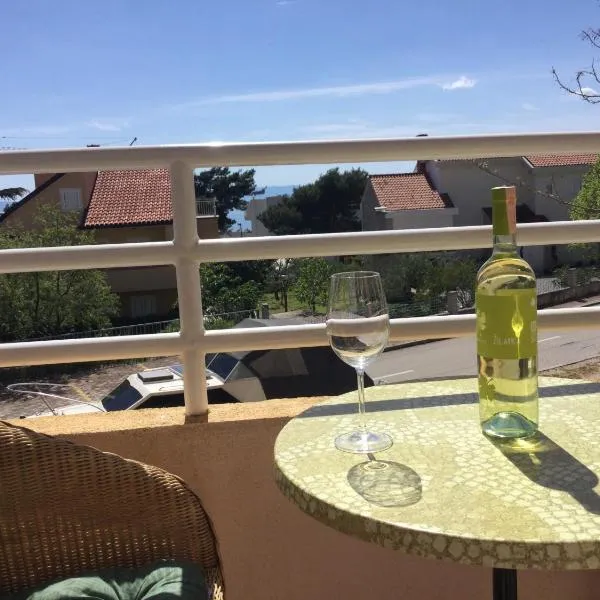 Promajna apartman，位于普罗马尼亚的酒店