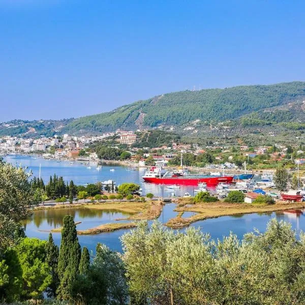 Skiathos Seaview Villa with Pool，位于Punta的酒店
