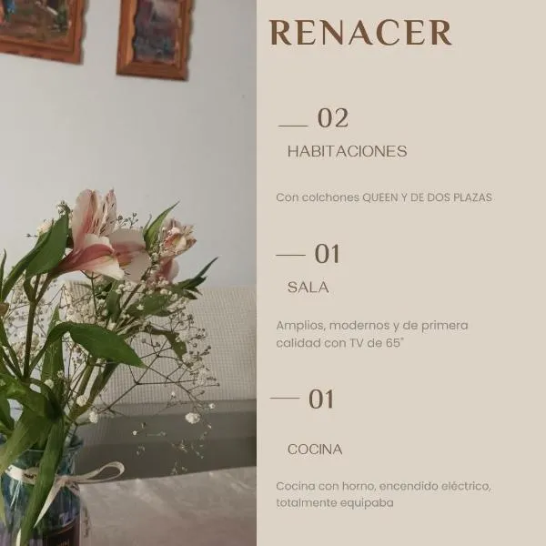 Renacer apartamentos，位于塔克纳的酒店