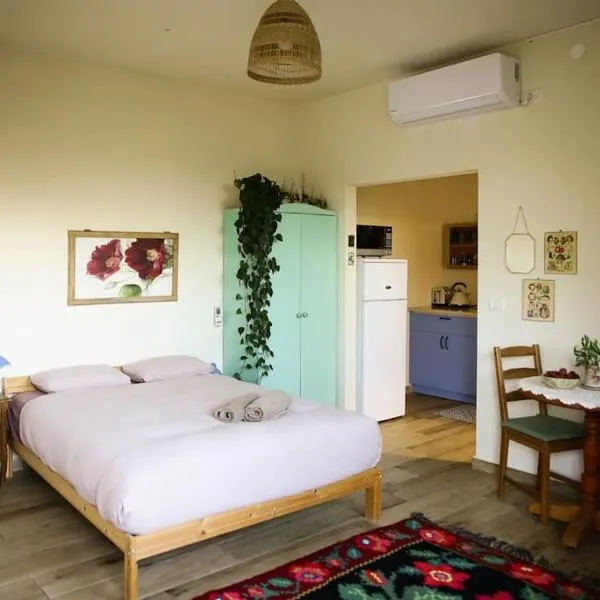 Luna's Guest Suite，位于Yirʼon的酒店