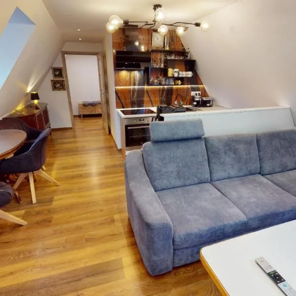 Apartman Ateliér Vary v nově zrekonstruovaném domě，位于卡罗维发利的酒店