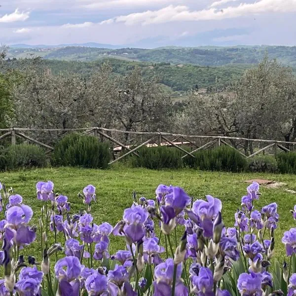 Il Fiorino di Badia，位于Badia A Passignano的酒店