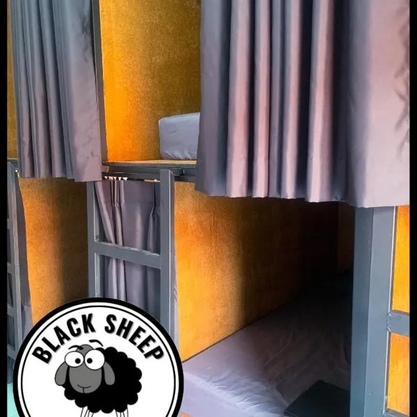 The Black Sheep Hostel，位于哈林海滩的酒店