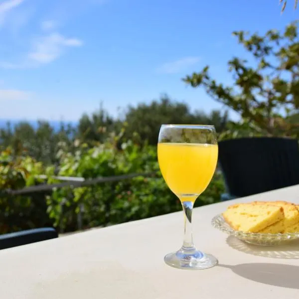 Perfetto Country House - Myrtos View，位于Anomeriá的酒店