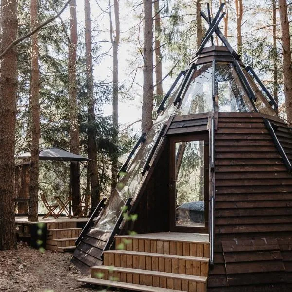 CallTipi glass house，位于Darbėnai的酒店