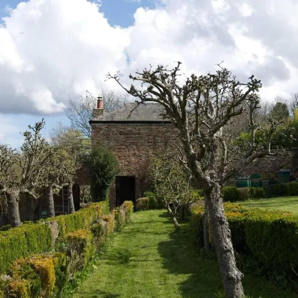 Cosy secret cottage in a beautiful walled garden，位于戈斯福斯的酒店