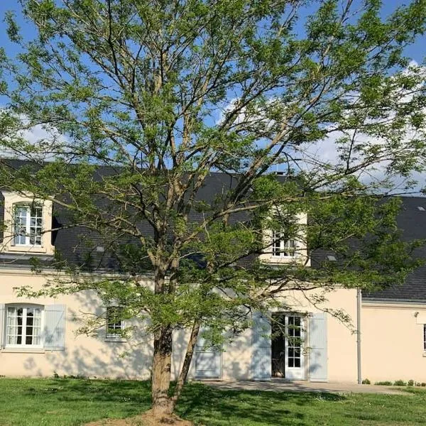 Maison familiale entre Beauval & Chambord，位于Pruniers的酒店