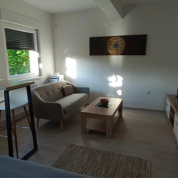 Apartman Jakša，位于Vasića Potok的酒店