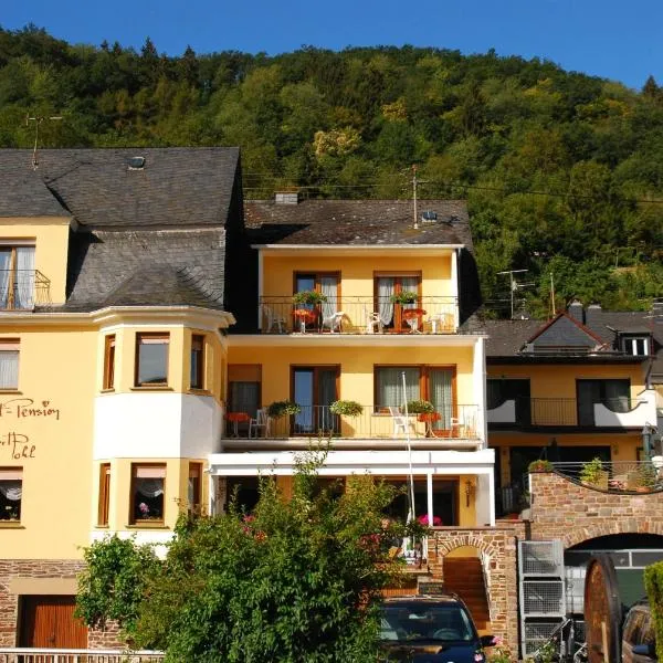 Weingut Pension Gibbert-Pohl，位于布里德尔的酒店