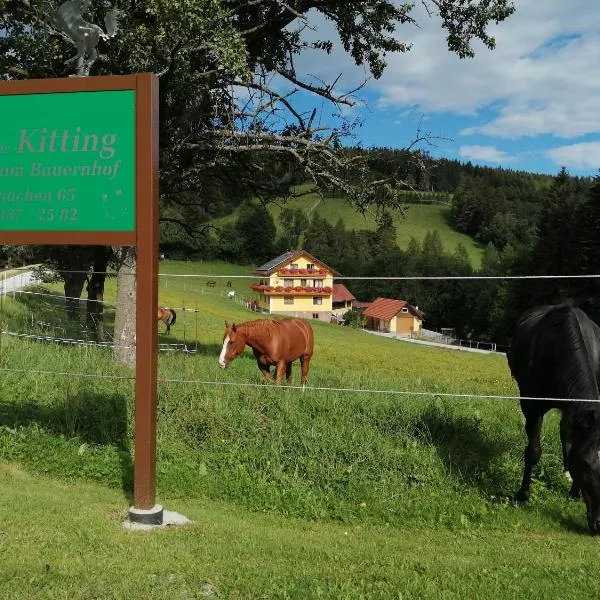 Urlaub am Bauernhof Familie Kitting，位于圣卡瑟林阿哈的酒店